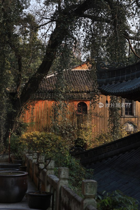 国清寺中式古建筑与绿植景观