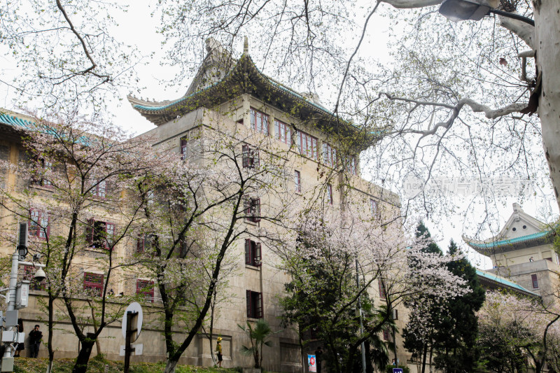 武汉大学建筑