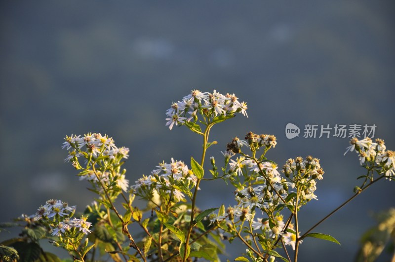 娄底风景 自然风光 风景名胜