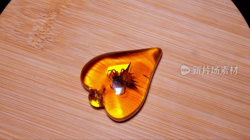 角蜘蛛金琥珀昆虫标本（）