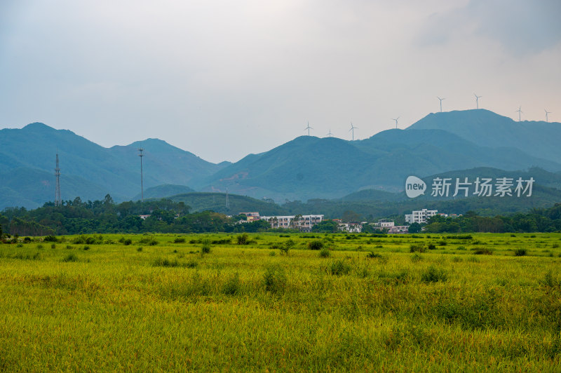 高山田野景观