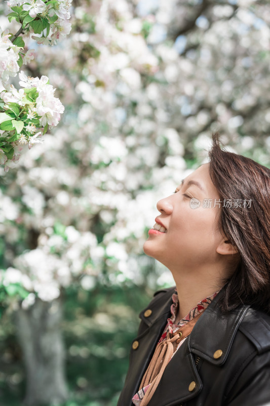 春天在盛开海棠花的树下赏花的年轻女性