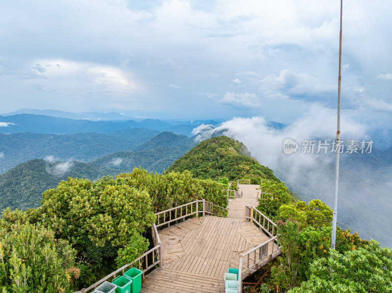 海南乐东县尖峰岭国家森林公园热带雨林