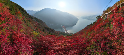 长江三峡巫峡红叶