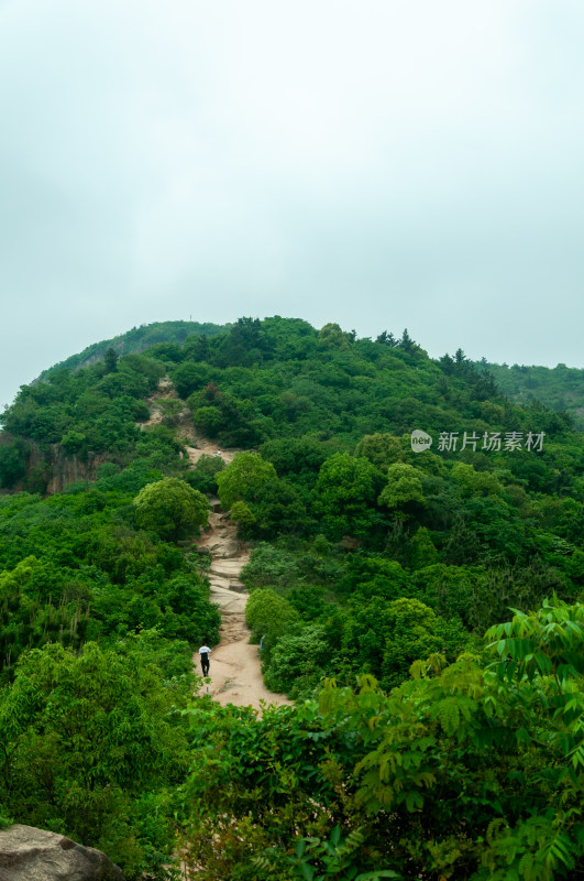 山中的自然风景