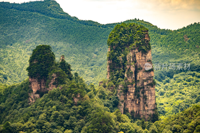 中国湖南张家界景区奇特山峰与茂密森林