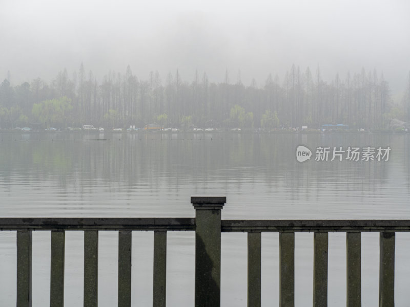 杭州西湖花港观鱼风景