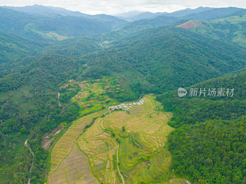 航拍乡村田园风光