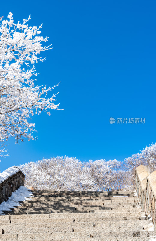 山东泰安泰山风景区雪景自然景观