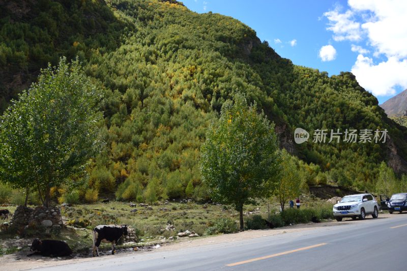 西藏沿路风景