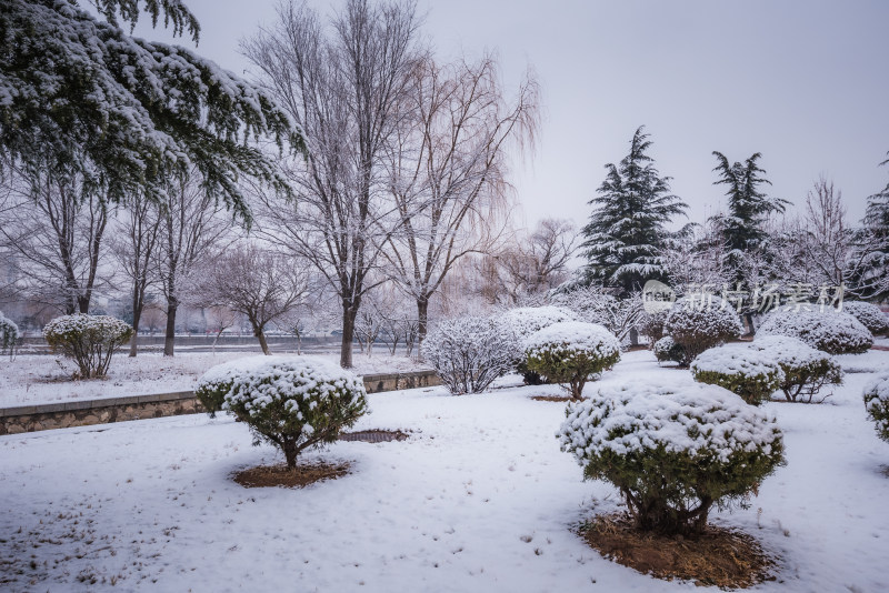 下雪了城市公园自然风景