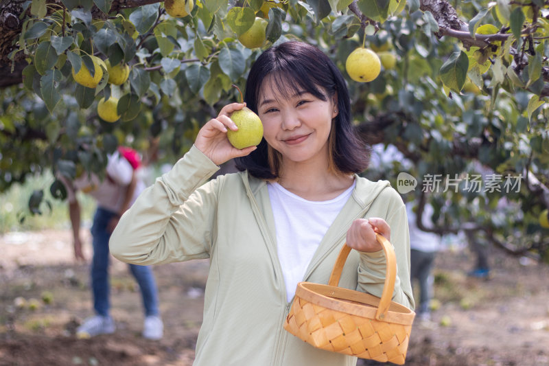 快乐的年轻女人在果园采摘