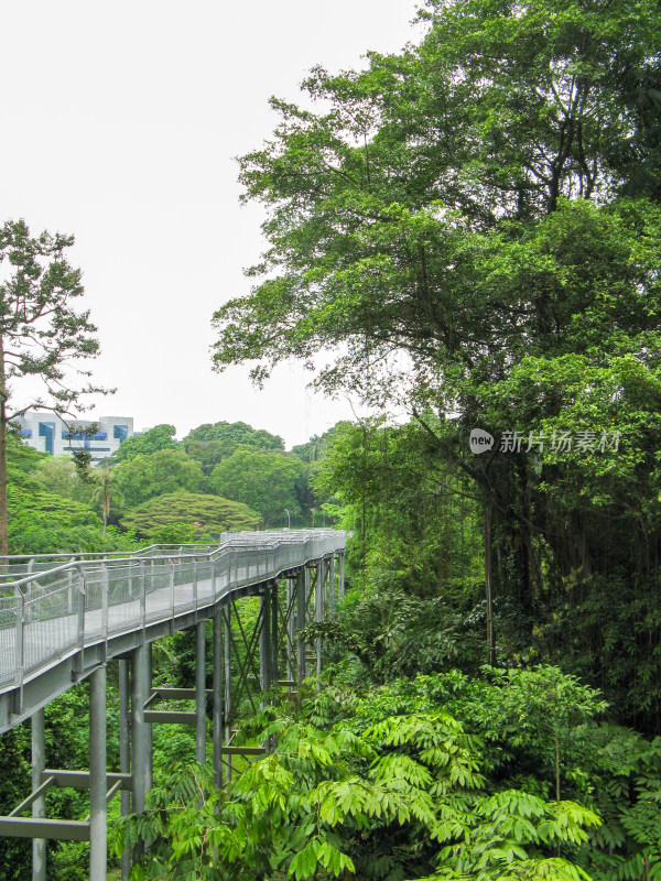 新加坡徒步路线 南部山脊