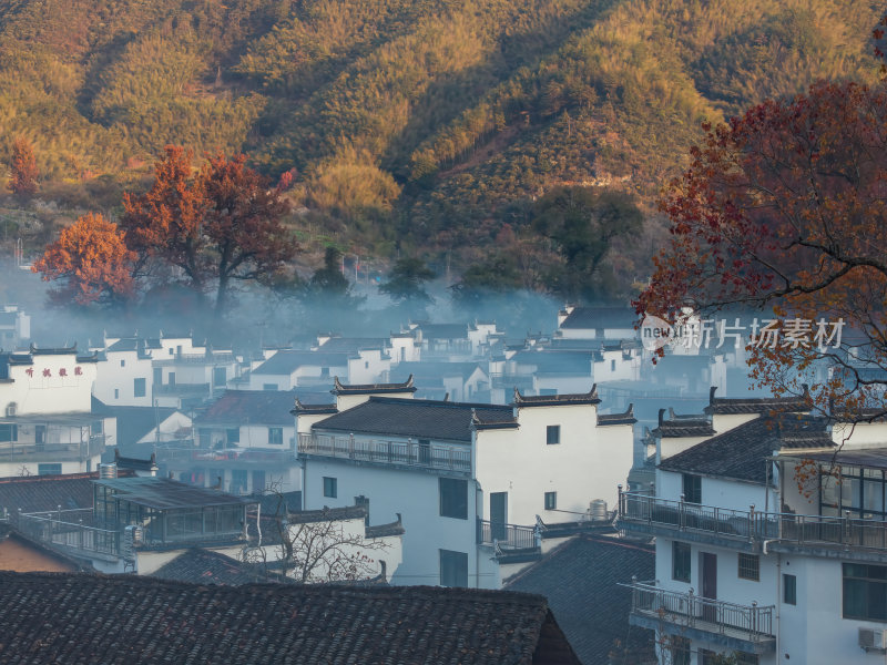 江西上饶婺源石城红枫网红景点日出晨雾航拍