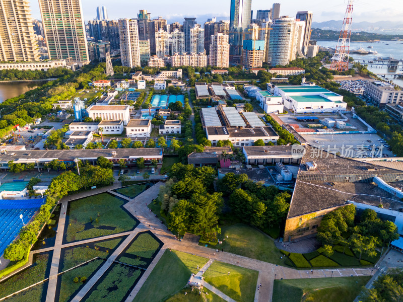 福建厦门城市风光绿化植物航拍图