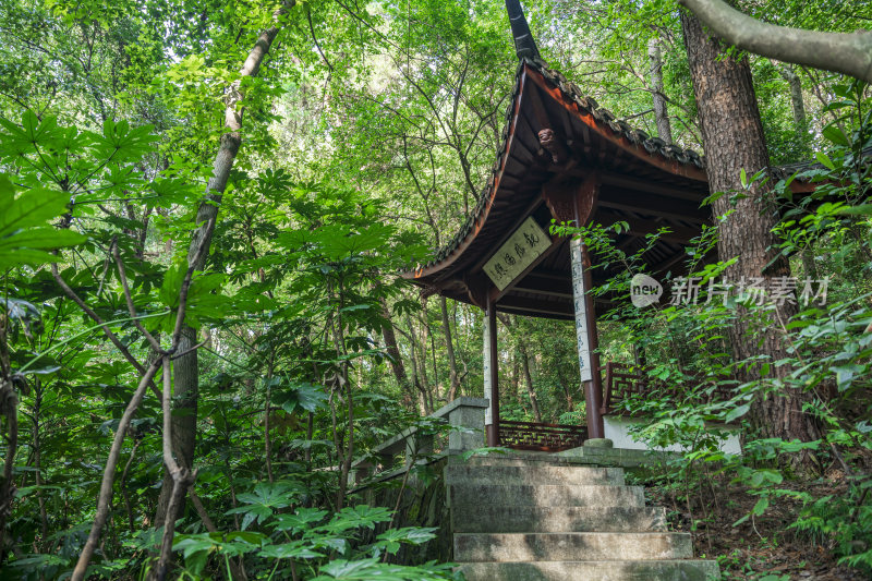 杭州凤凰山万松书院风景