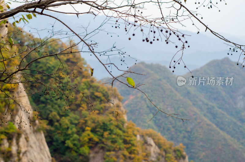 河南省洛阳白云山九龙潭秋天风景