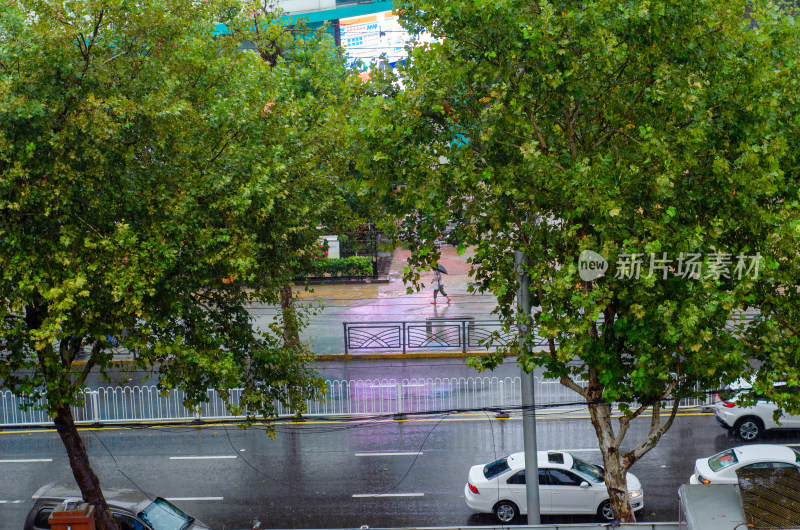 青岛下雨的路上有车驶过