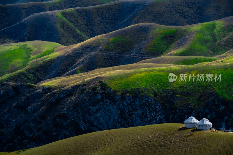 新疆伊犁喀拉峻草原牧场