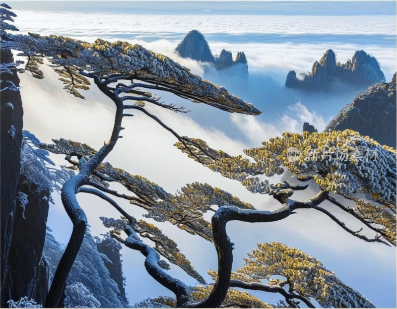 黄山风景