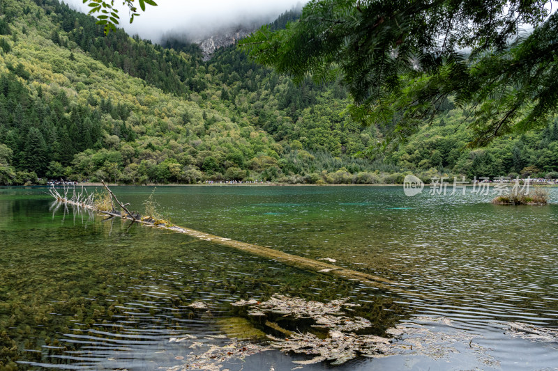 四川阿坝藏族羌族自治州九寨沟景区