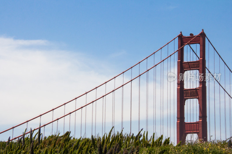 晴朗天空下的旧金山金门大桥