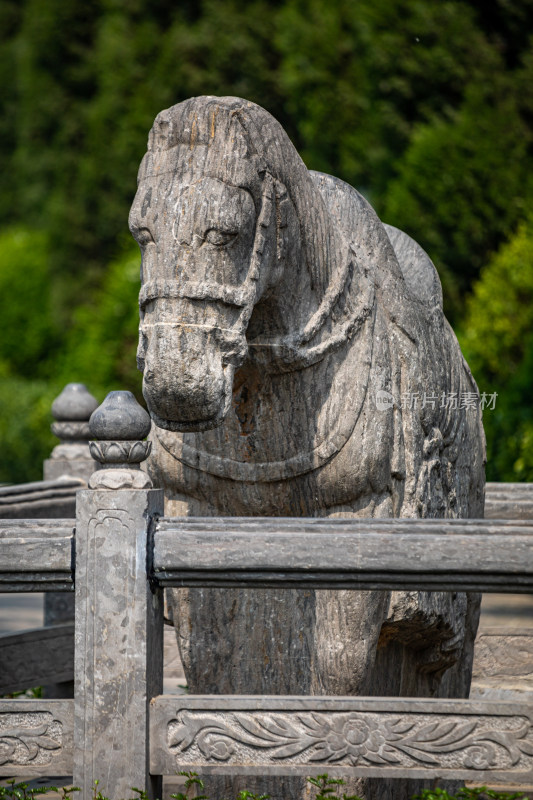 洛阳白马寺入口门白马石狮子景点景观