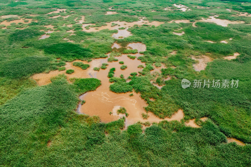 东营黄河口生态旅游区