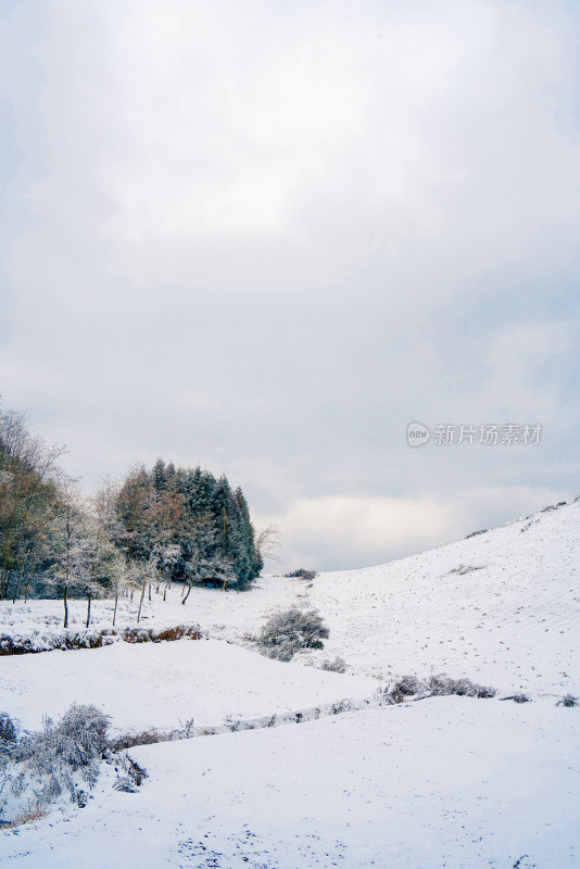 冬季雪景美景大雪