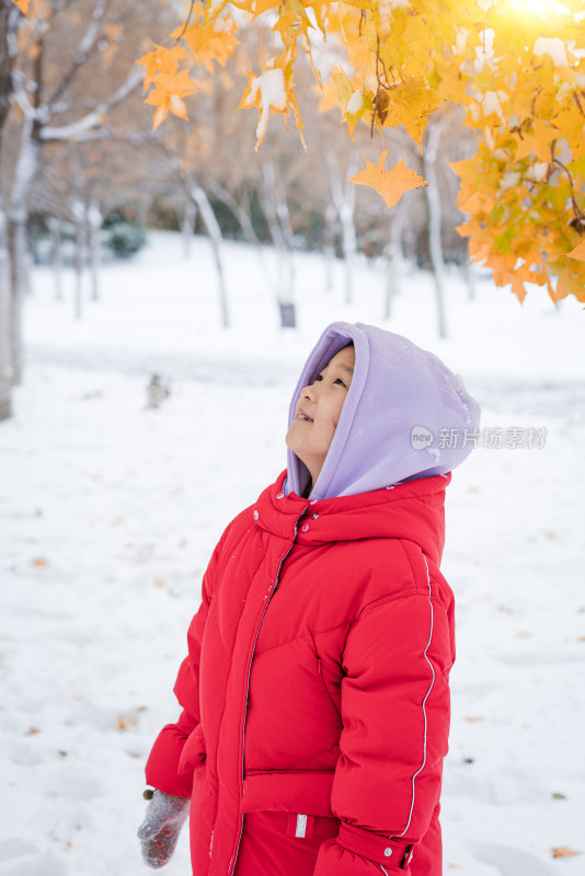 冬天在公园玩雪的中国女孩形象