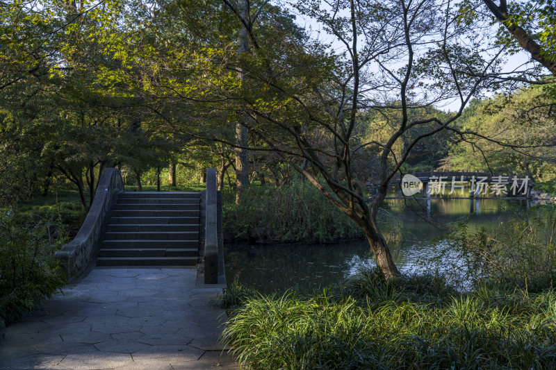 杭州西湖花港观鱼风景