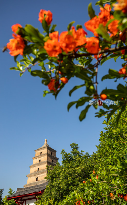 西安大雁塔大慈恩寺遗址公园释迦牟尼像景观