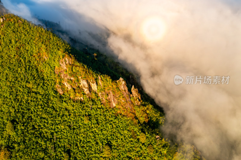 清晨的高山森林云雾流云