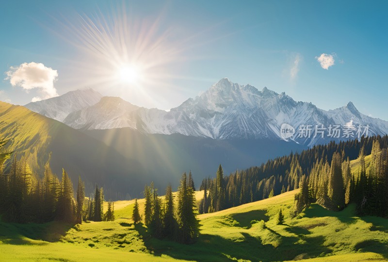 雪山草原森林风景