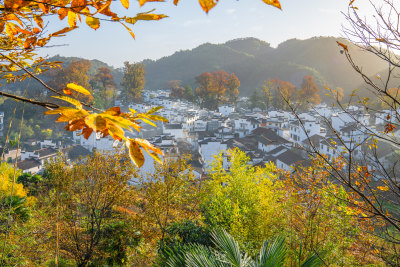 航拍江西婺源石城徽派建筑秋色枫叶村庄日出