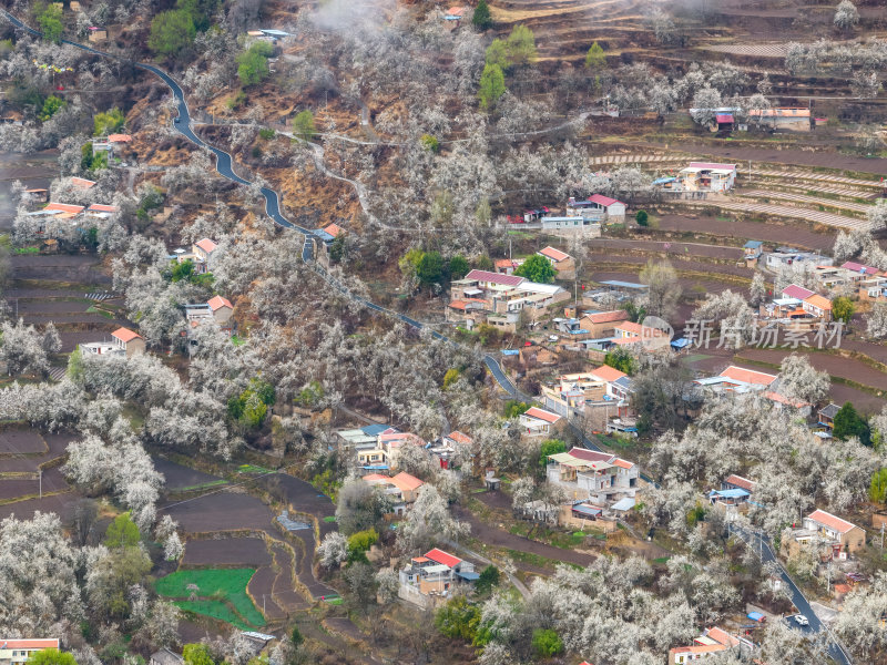 四川阿坝州金川梨花藏寨雪山高空航拍