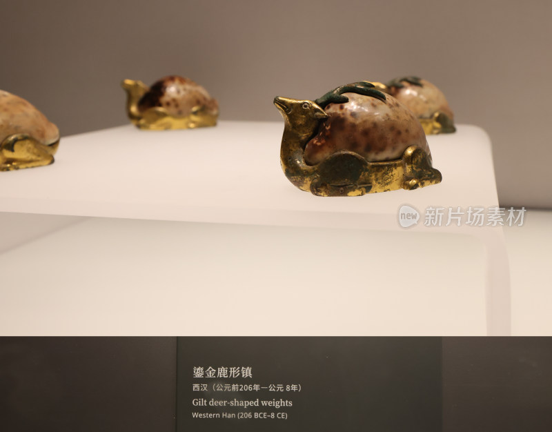 博物馆中国历史青铜文物展