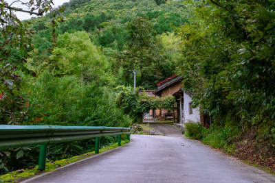 汉中留坝火烧店镇秦岭深处的山中乡村小路