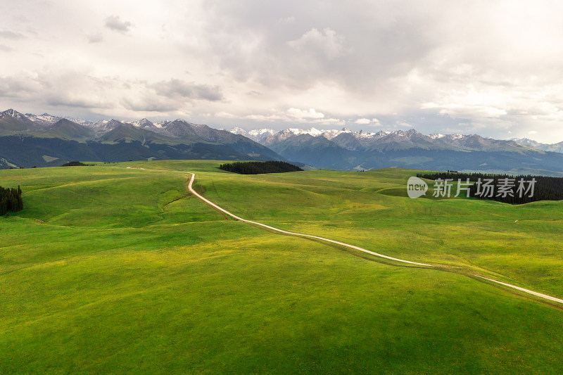 中国新疆伊犁喀拉峻大草原自然风景