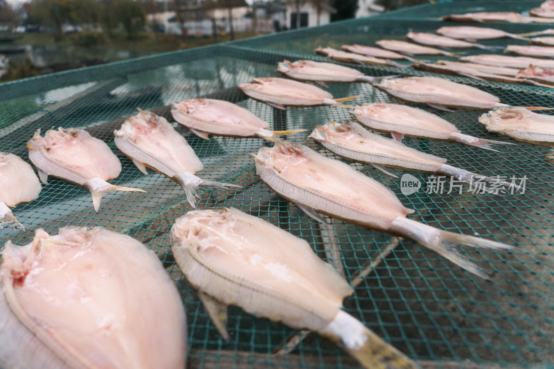 海边渔村特产晾晒的鱼干海鲜