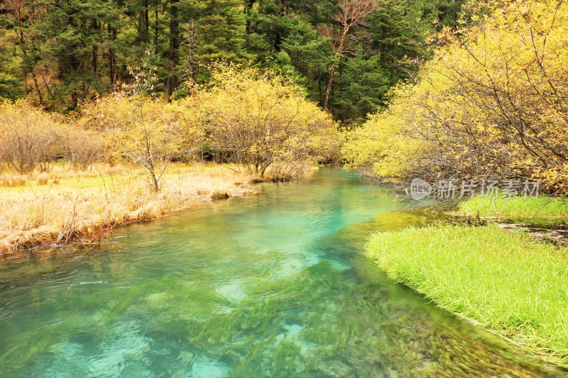 秋天九寨沟的水与草