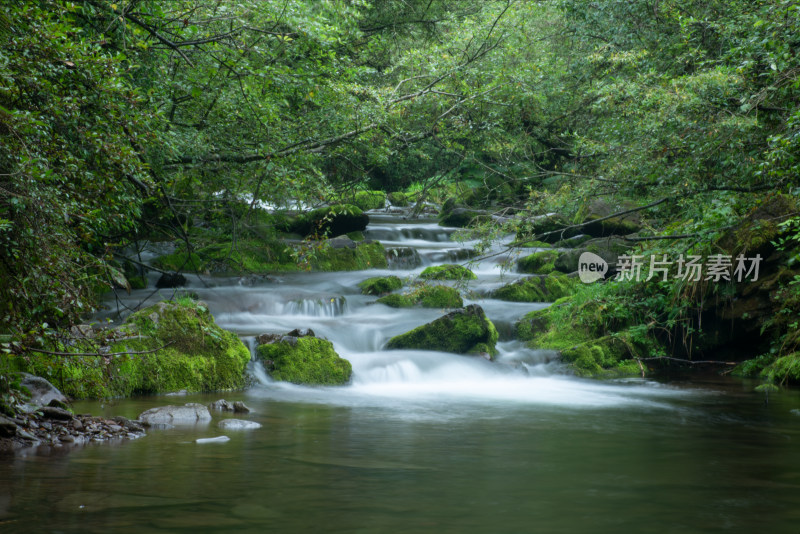 宁夏六盘山国家森林公园绿色生态瀑布风光