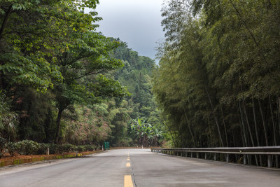 乡间公路