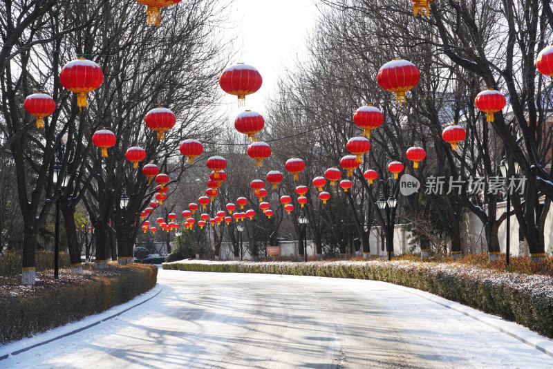 别墅区雪景