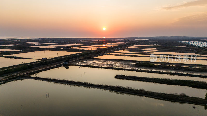 水产养殖：廉江市龙营围万亩虾田