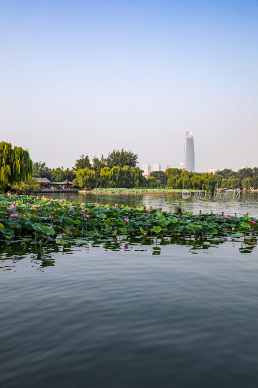 山东济南大明湖风景区自然景观与城市风光