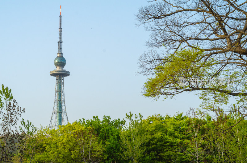 青岛中山公园的青岛电视塔