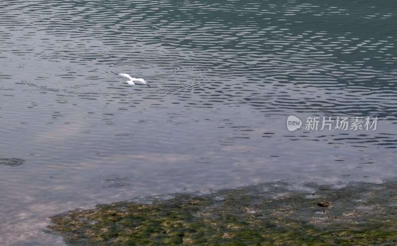 贵州沿河：醉人景色六月天