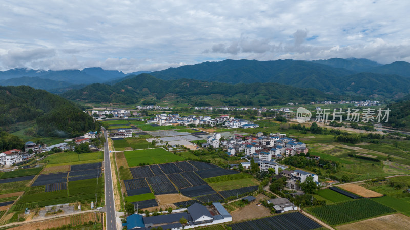 航拍武夷山绿色农田与茶园