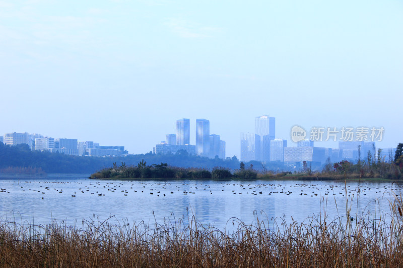 天府新区兴隆湖畔成都科创生态岛冬日风光